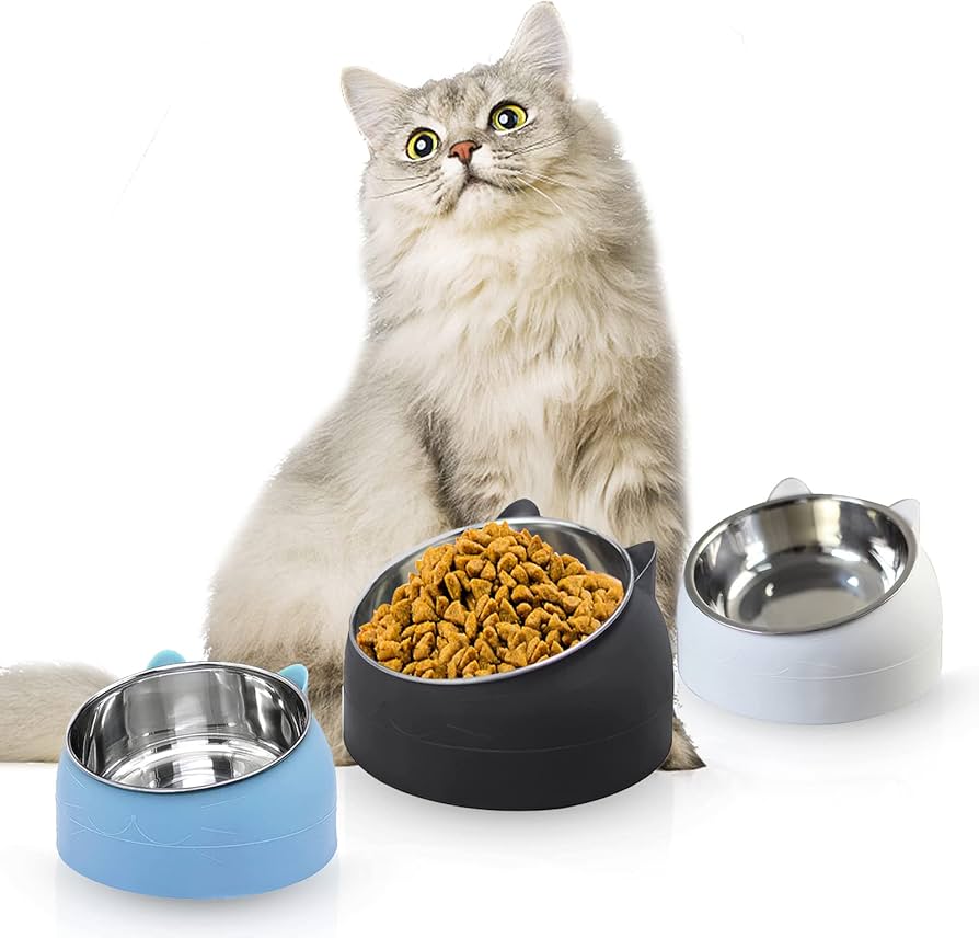 Schuine Kattenvoerkom